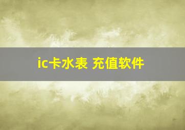 ic卡水表 充值软件